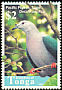 Pacific Imperial Pigeon Ducula pacifica  1998 Birds 