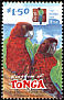 Maroon Shining Parrot Prosopeia tabuensis  2002 Red Shining Parrot 
