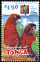 Maroon Shining Parrot Prosopeia tabuensis