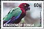 Maroon Shining Parrot Prosopeia tabuensis