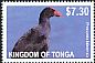 Australasian Swamphen Porphyrio melanotus  2012 Definitives White frames