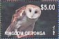 Eastern Barn Owl Tyto javanica