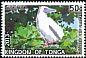 Red-footed Booby Sula sula  2013 Definitives White frames