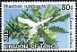 Red-tailed Tropicbird Phaethon rubricauda  2013 Definitives White frames