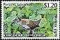 Spotless Crake Zapornia tabuensis  2013 Definitives White frames