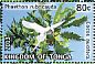 Red-tailed Tropicbird Phaethon rubricauda  2013 Definitives Sheet, no white frames