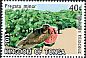 Great Frigatebird Fregata minor  2014 Definitives overprinted OFFICIAL 