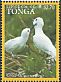 White Tern Gygis alba  2016 Marine life 12 set