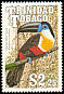 Channel-billed Toucan Ramphastos vitellinus  1990 Birds Script wmk