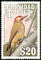 Golden-olive Woodpecker Colaptes rubiginosus  1990 Birds Script wmk