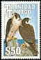 Peregrine Falcon Falco peregrinus  1990 Birds Script wmk