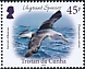 Tristan da Cunha 2022 Vagrant species 