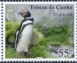 Magellanic Penguin Spheniscus magellanicus  2023 Penguins 