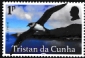 Tristan da Cunha 2025 Birds of Tristan da Cunha 