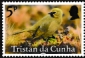 Tristan da Cunha 2025 Birds of Tristan da Cunha 