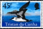 Tristan da Cunha 2025 Birds of Tristan da Cunha 