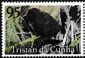 Tristan da Cunha 2025 Birds of Tristan da Cunha 