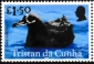 Tristan da Cunha 2025 Birds of Tristan da Cunha 