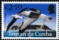 Tristan da Cunha 2025 Birds of Tristan da Cunha 