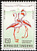Greater Flamingo Phoenicopterus roseus  1966 Birds of Tunisia 