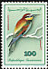 European Bee-eater Merops apiaster