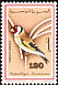 European Goldfinch Carduelis carduelis