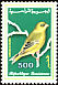 European Greenfinch Chloris chloris  1992 Birds 