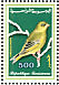 European Greenfinch Chloris chloris