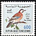 Eurasian Jay Garrulus glandarius  2001 Birds of Tunisia 