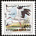 White Stork Ciconia ciconia  2001 Birds of Tunisia 