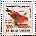 Red Crossbill Loxia curvirostra