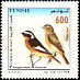 Moussier's Redstart Phoenicurus moussieri