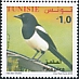 Eurasian Magpie Pica pica