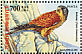 Common Kestrel Falco tinnunculus  2004 World environment day Sheet
