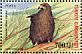 Black Kite Milvus migrans  2004 World environment day Sheet