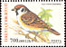 Eurasian Tree Sparrow Passer montanus  2004 Bird definitives 