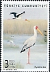 Yellow-billed Stork Mycteria ibis  2020 Storks 