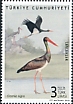 Black Stork Ciconia nigra  2020 Storks 