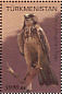 Red-tailed Hawk Buteo jamaicensis  2000 Birds of prey Sheet