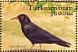 Red-billed Chough Pyrrhocorax pyrrhocorax  2002 Birds Sheet