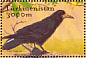 Rook Corvus frugilegus  2002 Birds Sheet
