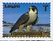 Peregrine Falcon Falco peregrinus  2020 Fauna 4v set, sa