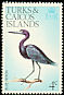 Little Blue Heron Egretta caerulea