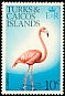 American Flamingo Phoenicopterus ruber  1973 Birds wmk sideways