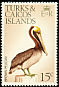 Brown Pelican Pelecanus occidentalis  1973 Birds wmk sideways