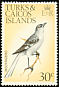 Northern Mockingbird Mimus polyglottos