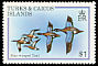 Blue-winged Teal Spatula discors  1980 Birds 