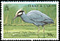 Yellow-crowned Night Heron Nyctanassa violacea  1990 Birds 