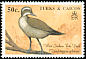 West Indian Whistling Duck Dendrocygna arborea  1990 Birds 
