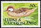 White-cheeked Pintail Anas bahamensis  1990 Birds 